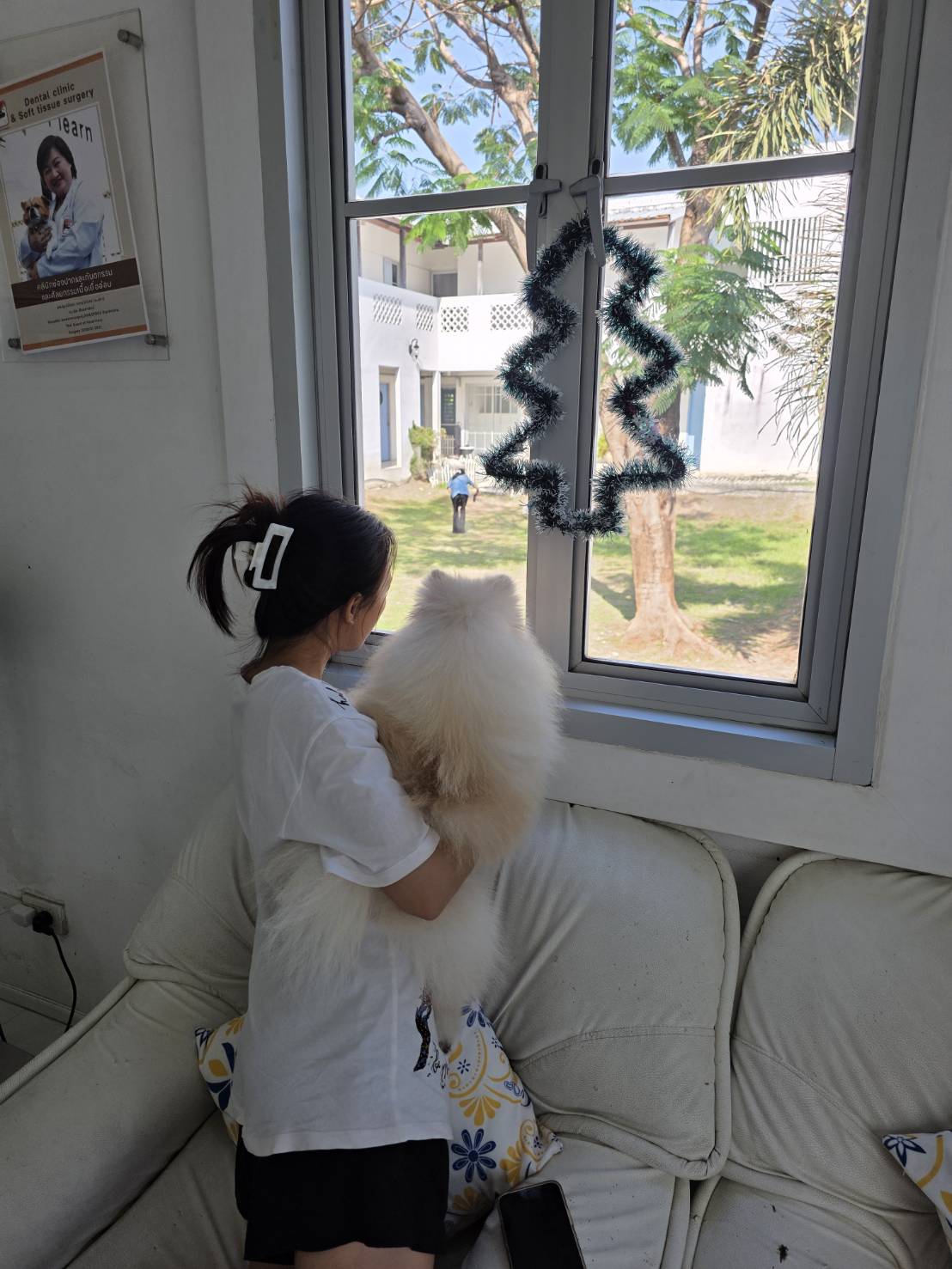 สมชายรับส่ง Pet Taxi รูปที่ 20
