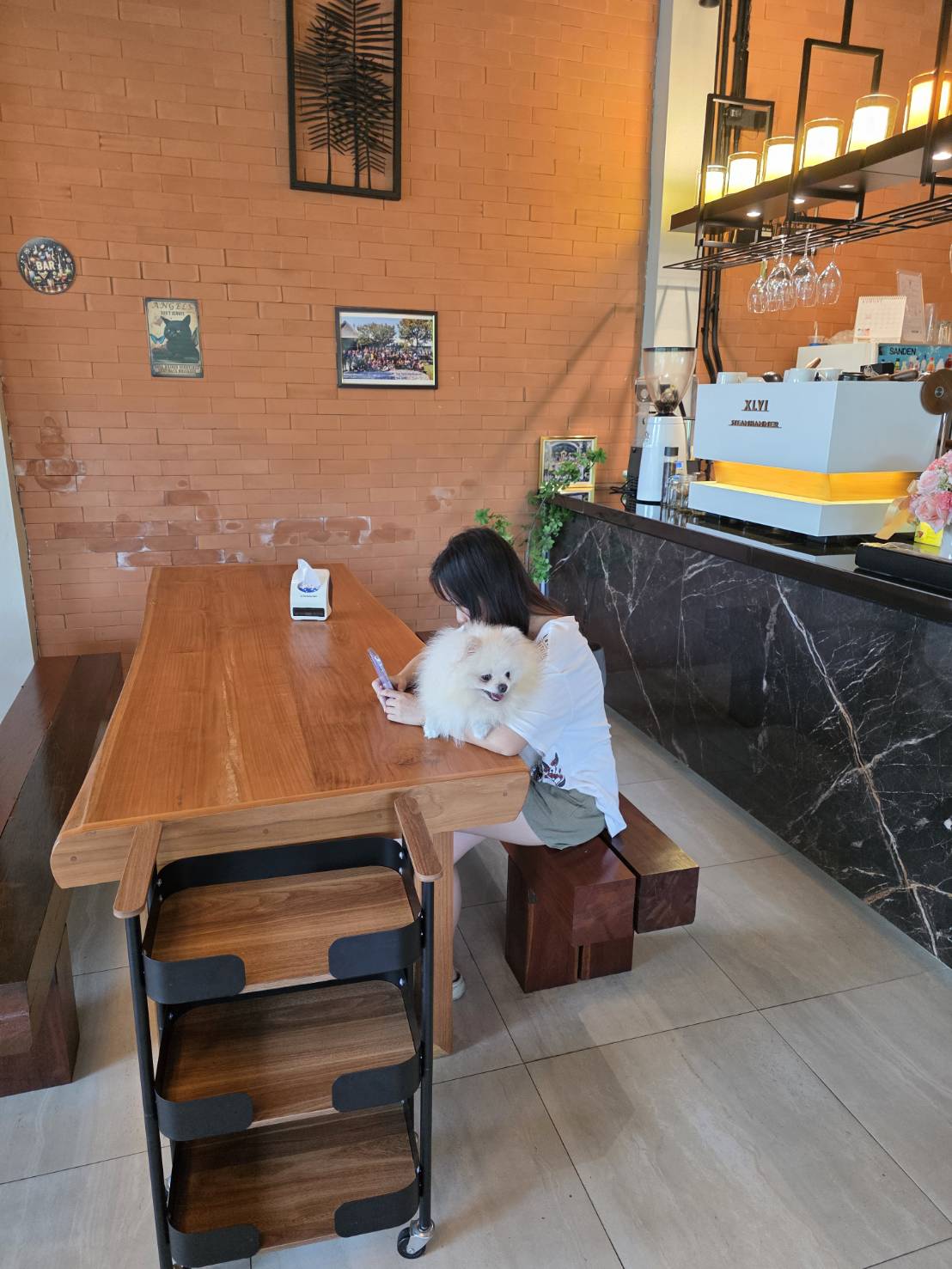 สมชายรับส่ง Pet Taxi รูปที่ 14