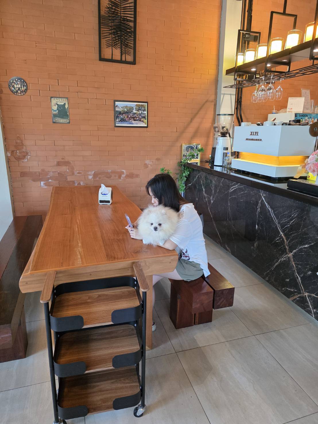 สมชายรับส่ง Pet Taxi