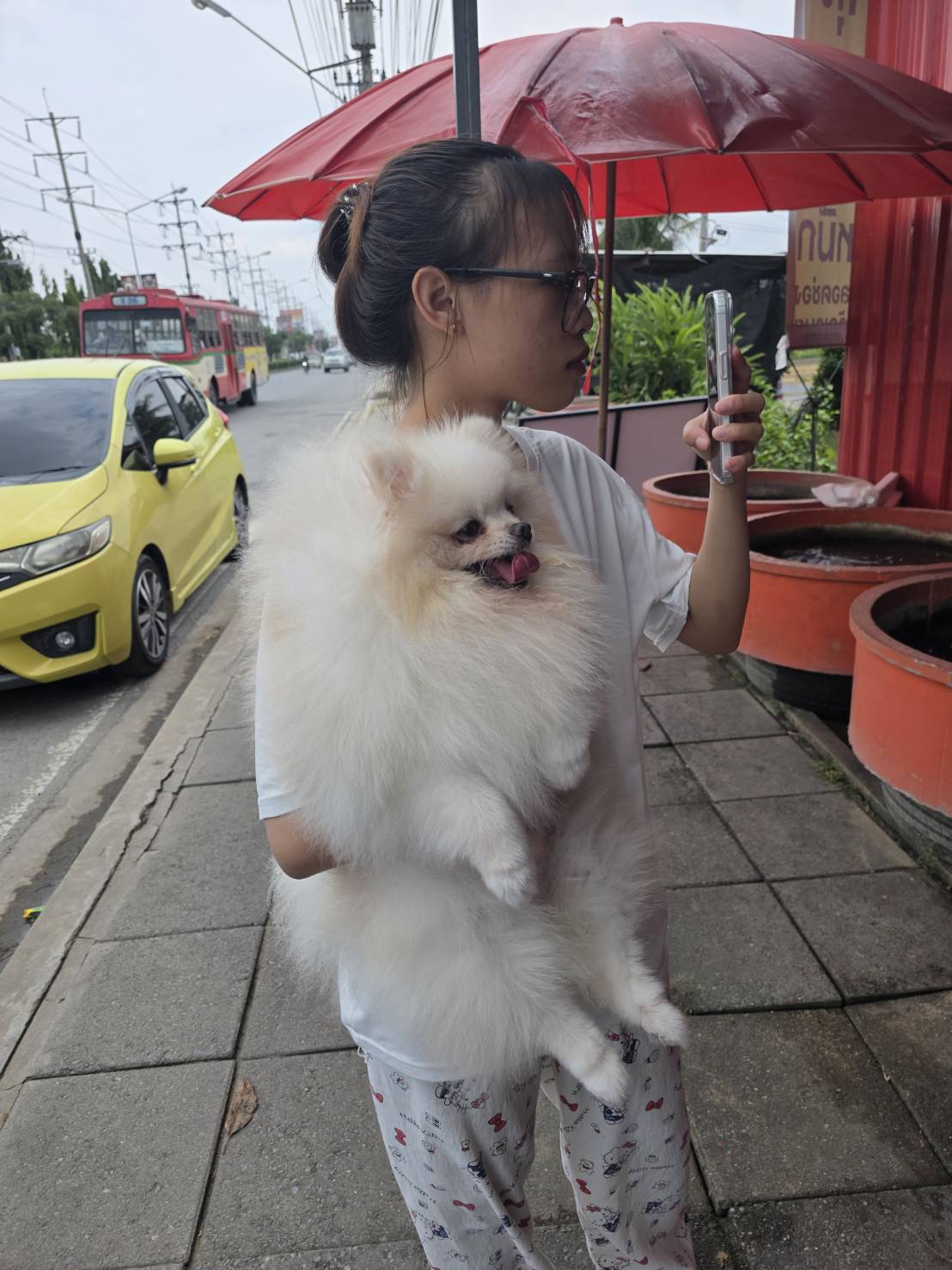 สมชายรับส่ง Pet Taxi รูปที่ 2