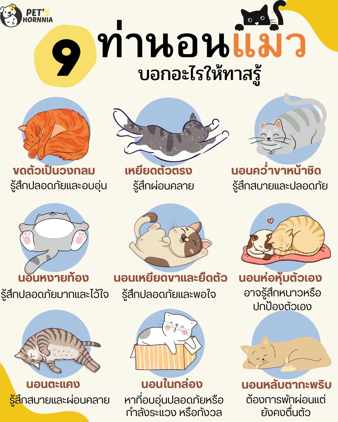 สมชายรับฝากหมาแมว รูปที่ 2