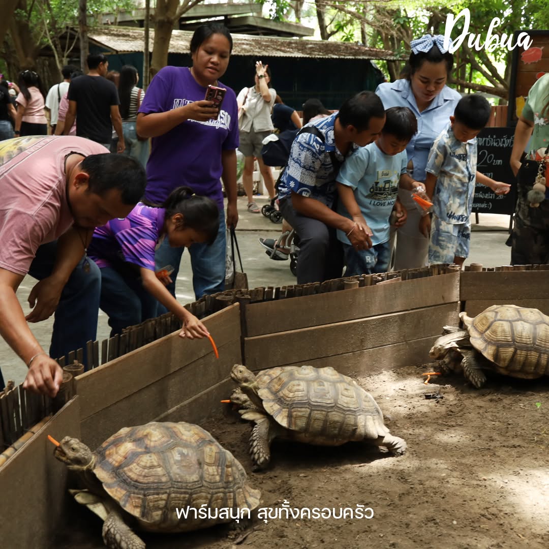 DUBUA CAFE รูปที่ 7